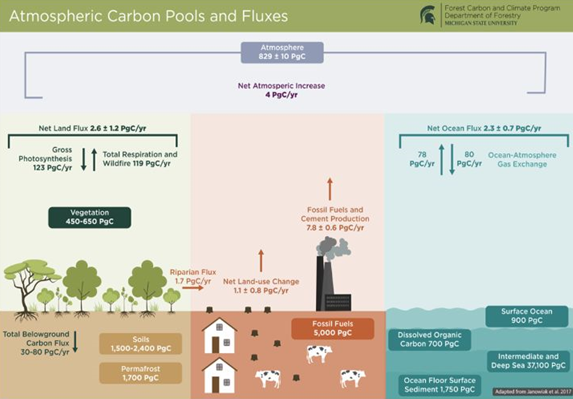 The Carbon Budgets of Natural Landscapes – My Blog has become My ...