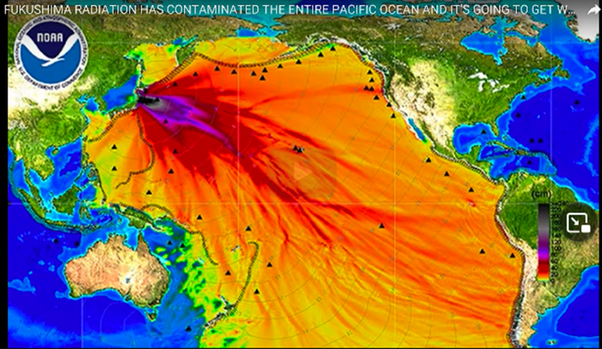 The Effect of False Fear of Low-Dose Radiation – Fake Graph of&nbsp;Fukushima